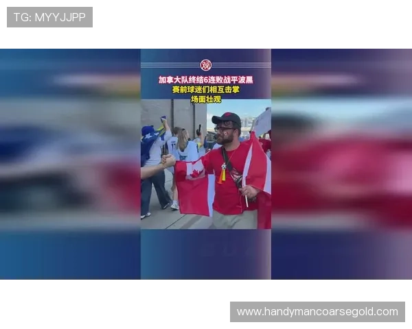 加拿大对阵波黑比赛比分预测分析与赛前专家观点汇总 加拿大对阵波黑比赛比分预测分析与赛前专家观点汇总